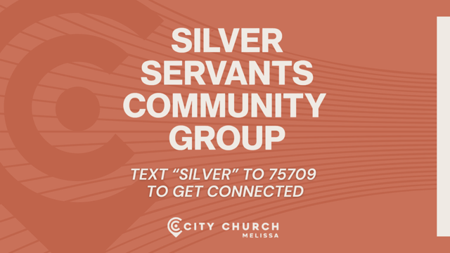 Silver Servants 26